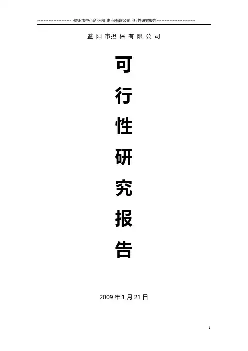 融资性担保公司可行性研究报告