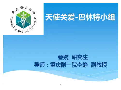巴林特小组PPT课件