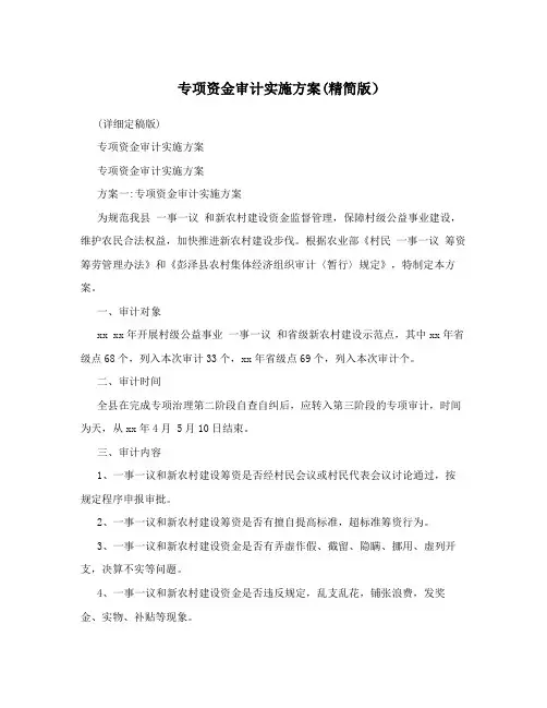 专项资金审计实施方案(精简版)