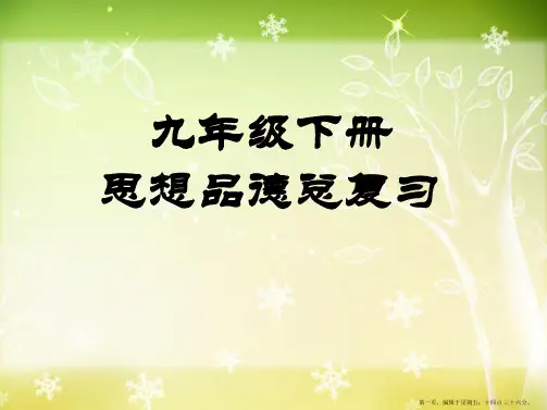 《九年级下册思想品德总复习》PPT课件6