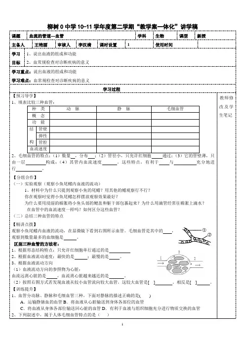 血流的管道—血管