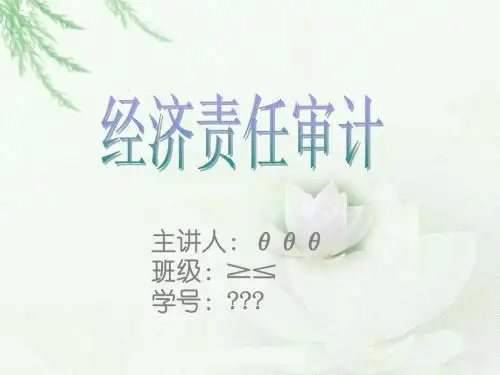 经济责任审计