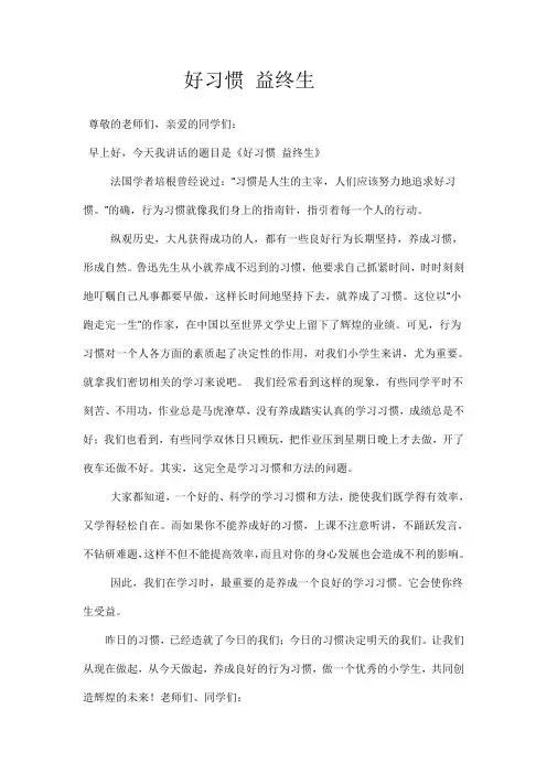 国旗下的演讲稿 3