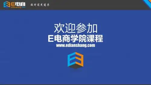 苏宁易购入驻-E电商