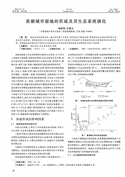 张掖城市湿地的形成及其生态系统演化