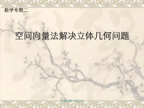 向量法解立体几何