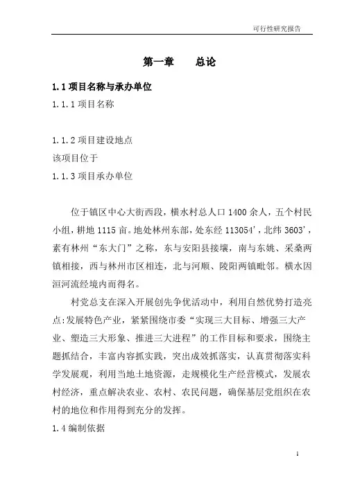 可行性研究报告范本