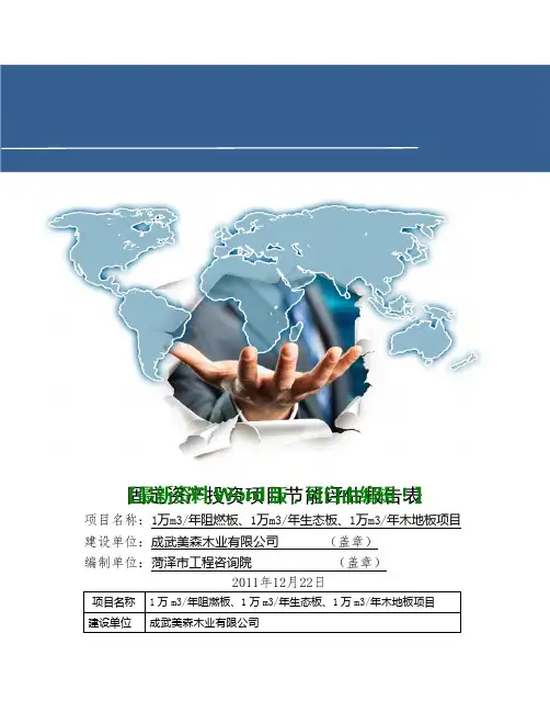 固定资产投资项目节能评估报告表范本