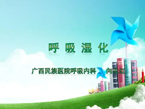高流量湿化治疗的使用PPT