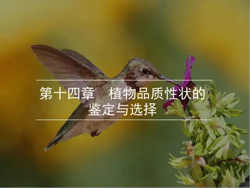 第十四章植物品质性状的鉴定与选择