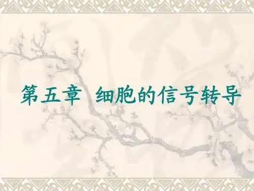第五章 细胞的信号转导