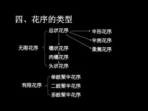 植物的繁殖