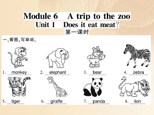 广西北部湾七年级英语上册Module6AtriptothezooUnit1Doesiteatmeat习题课件(新版)外研版