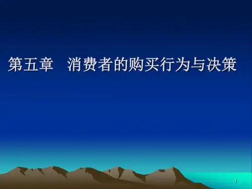 消费者购买行为和决策
