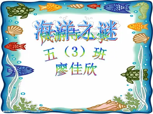 海洋之谜