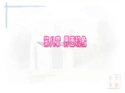 第八章+界面化学