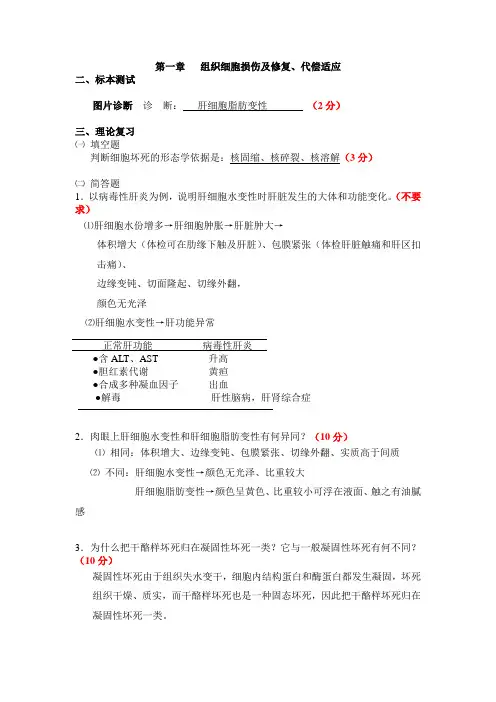 病理实习报告作业参考答案