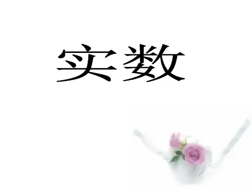 人教版数学七年级下册教学课件 6.3.1 实数(共22张PPT)