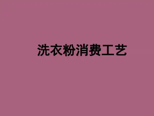 洗衣粉生产工艺ppt课件