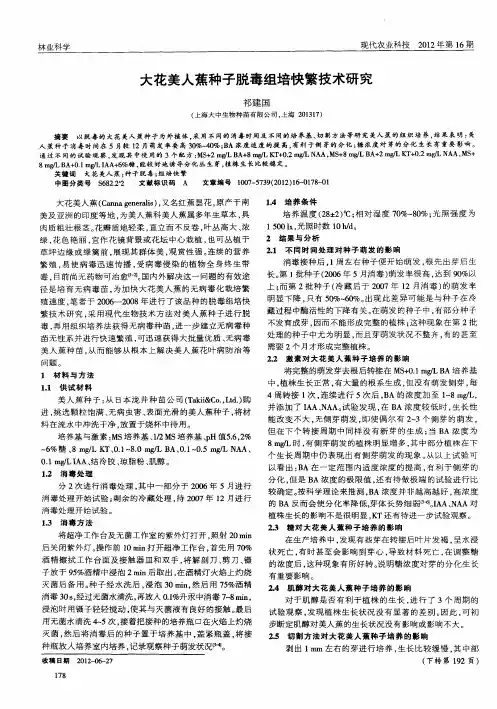 大花美人蕉种子脱毒组培快繁技术研究