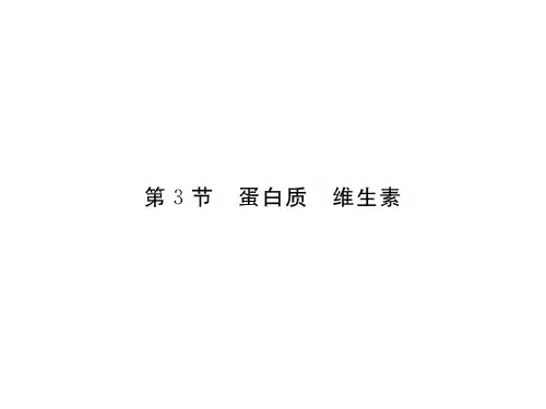 8.3 蛋白质 维生素