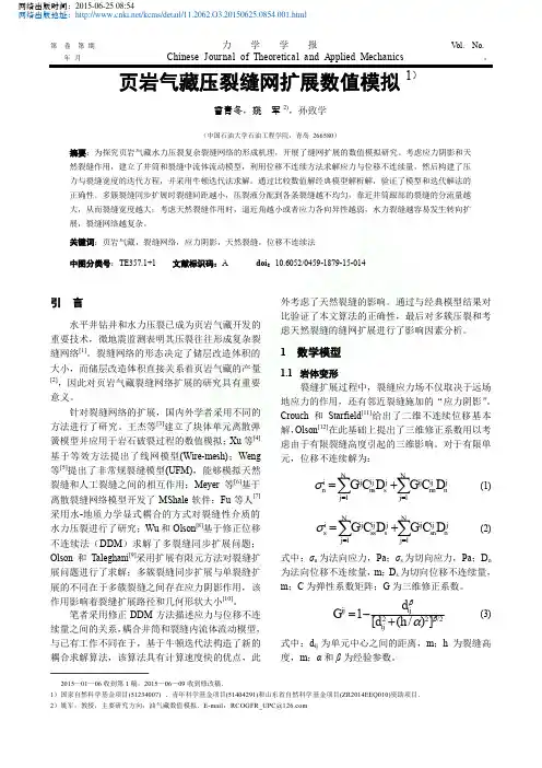 页岩气藏压裂缝网扩展数值模拟