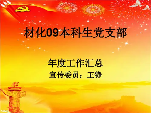 学生党支部工作总结