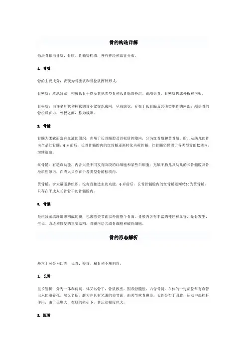 解剖