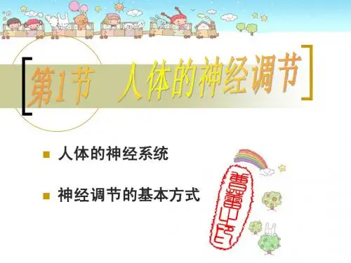 人体的神经调节2
