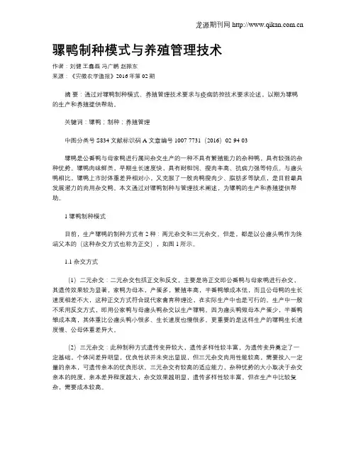 骡鸭制种模式与养殖管理技术