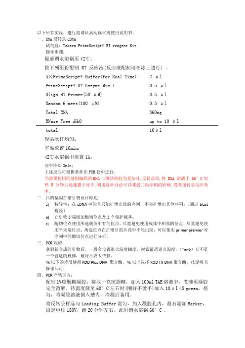 载体构建流程v2