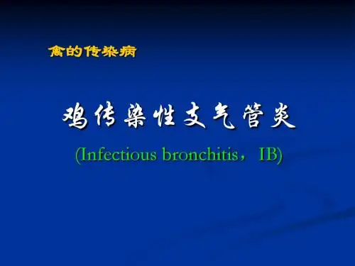 传染性支气管炎