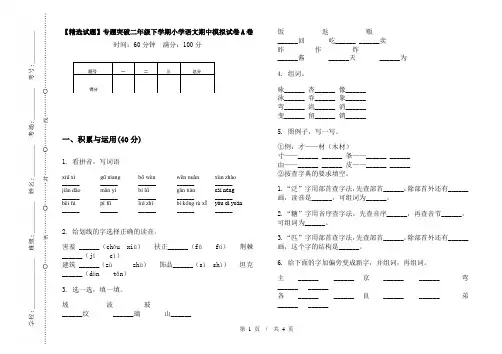 【精选试题】专题突破二年级下学期小学语文期中模拟试卷A卷