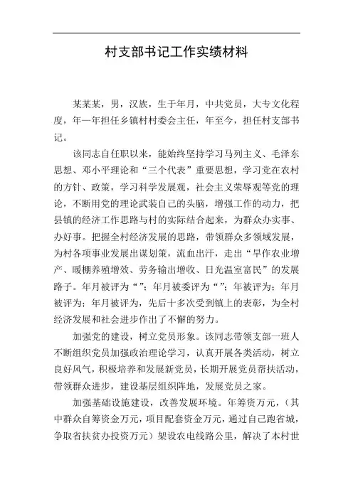 村支部书记工作实绩材料
