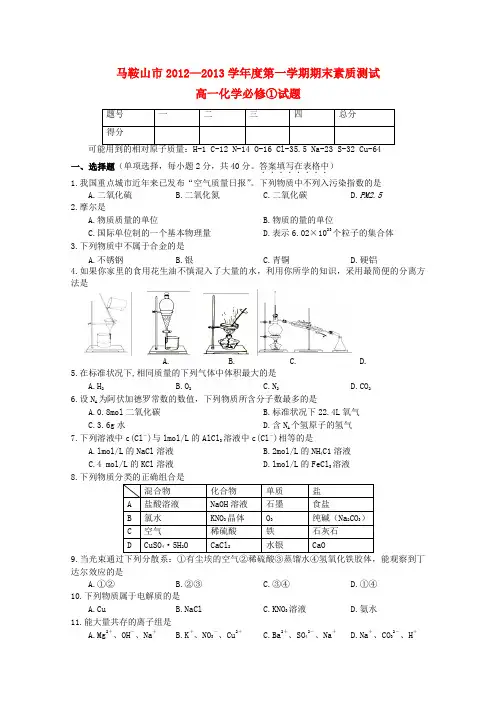 安徽省马鞍山市高一化学上学期期末素质测试