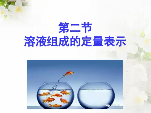 第二节 溶液组成的定量表示 (共35张PPT)