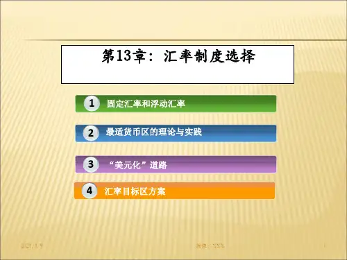 国际金融第11章----汇率制度选择PPT课件