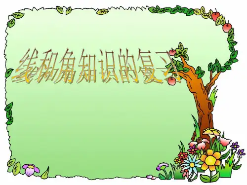 线与角知识的复习PPT