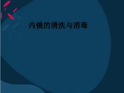 内镜的清洗与消毒ppt课件