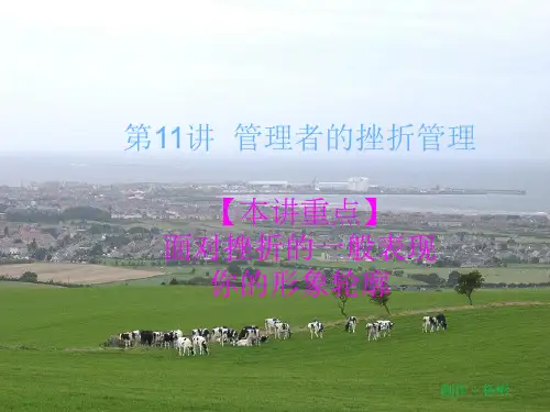 第十一讲  管理者的挫折管理