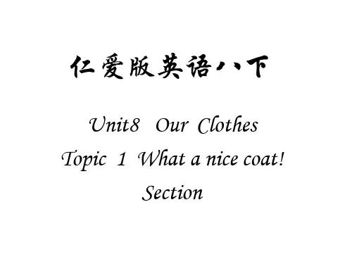 仁爱版英语八下U8 T1 Sa