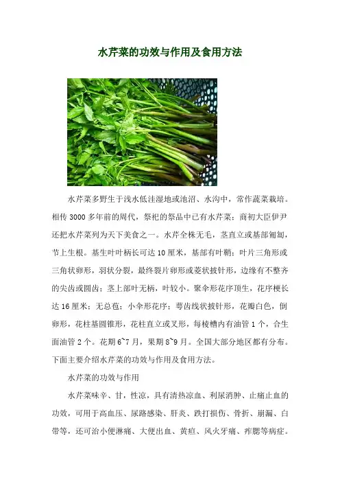 水芹菜的功效与作用及食用方法