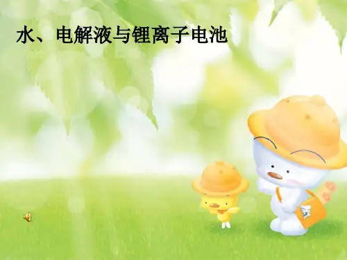 水、电解液与锂离子电池