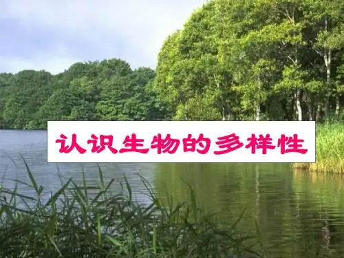 人教版八年级上册生物第六单元第二章--认识生物的多样性课件 (共38张PPT)
