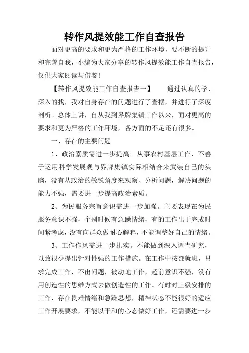 转作风提效能工作自查报告
