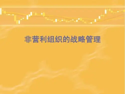 (五)非营利组织的战略管理