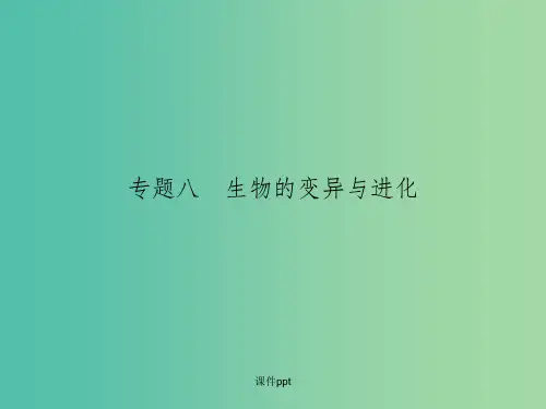 高考生物二轮专题复习 专题八 生物的变异与进化