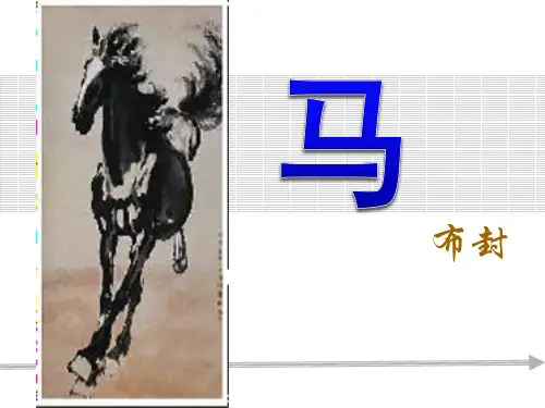《马》课件3