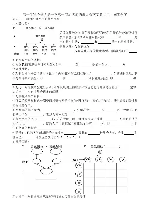 孟德尔的豌豆杂交实验(二)同步学案
