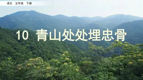 【部编本】《青山处处埋忠骨》PPT课件五年级下册第10课